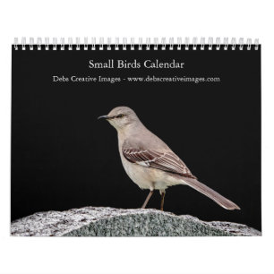 Calendrier 2027 Oiseaux chanteurs de jardin Oiseaux d'Améri