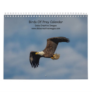 Calendrier 2027 Oiseaux de proie Raptors d'Amérique du Nord