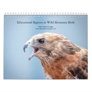 Calendrier 2027 Oiseaux Éducatifs à Wild Mountain Birds
