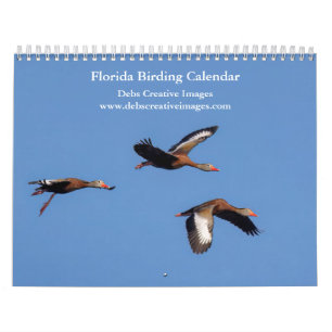 Calendrier 2027 Oiseaux magnifiques de Floride Photos de fa