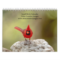 2027 Petits Oiseaux | Photographie d'oiseaux de ja