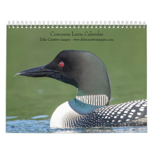 Calendrier 2027 Plongeons Huard Photographie du lac Adirond