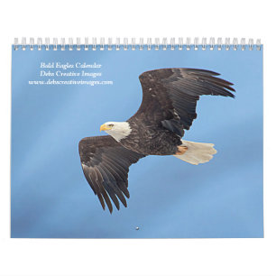 Calendrier 2027 Pygargues à tête blanche Photographie de fa
