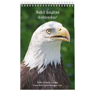 Calendrier 2027 Pygargues à tête blanche Photographie de fa