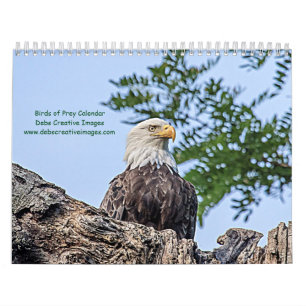 Calendrier 2027 Rapaces de New York Photographie de la faun