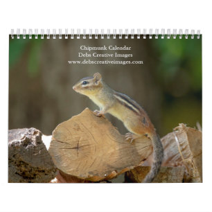 Calendrier 2027 Tamia d'Adirondack Photographie de la forêt