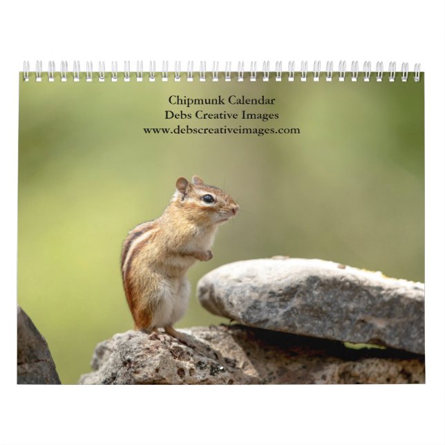 Calendrier 2027 Tamias des Adirondacks | Faune forestière (Protection)