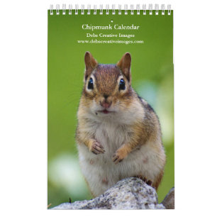 Calendrier 2027 Tamias des Adirondacks Photographie de faun