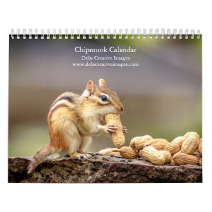 Calendrier 2027 Ticonderoga Tamias   Faune des Adirondacks