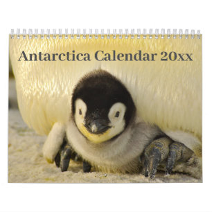 Calendrier 20xx - Antarctique