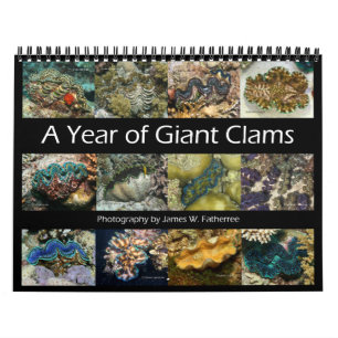 Calendrier 2 du mur des Clams géants par James W.