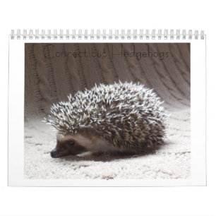 Calendrier 3 de bébé de hérisson