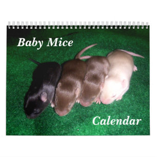 Calendrier 4 souris de bébé grandissant