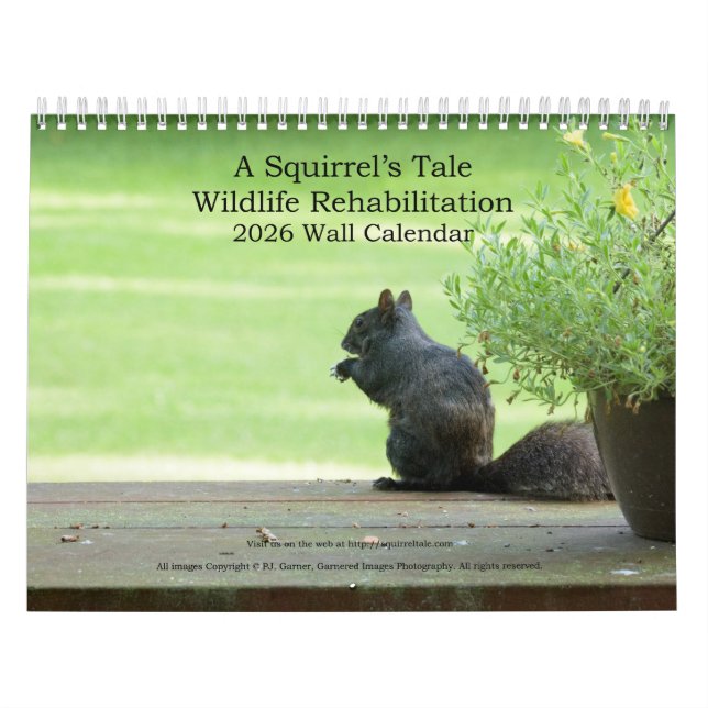 Calendrier A Squirrel's Tale 2026 Wall Calendar (Protection)