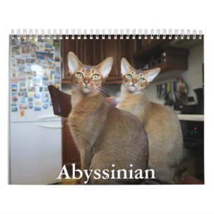 Calendrier abyssinique