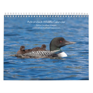 Calendrier Adirondack Wildlife 2026