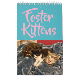 Calendrier adoptif du chaton 2019