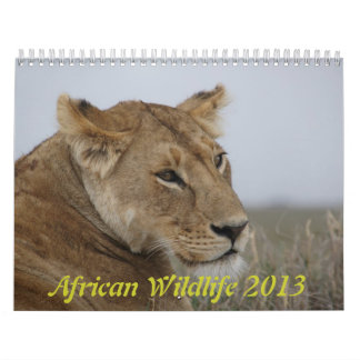 Calendrier africain 2013 de faune