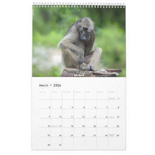 Calendrier africain de la faune 2026