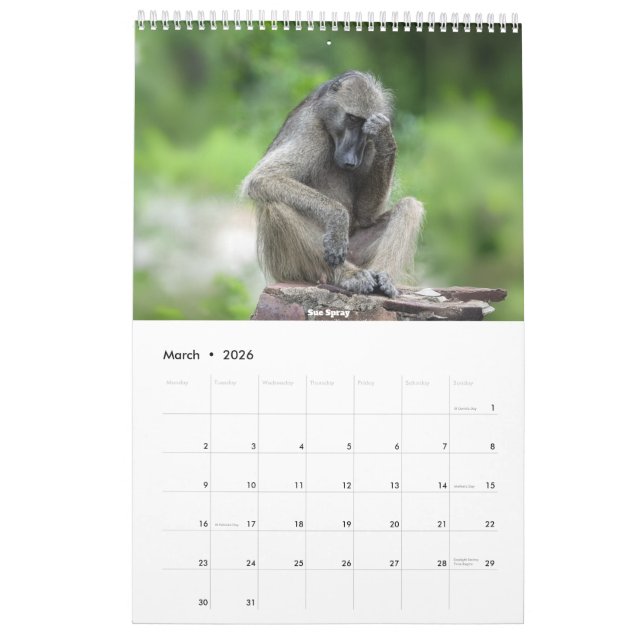 Calendrier africain de la faune 2026 (Mar 2026)