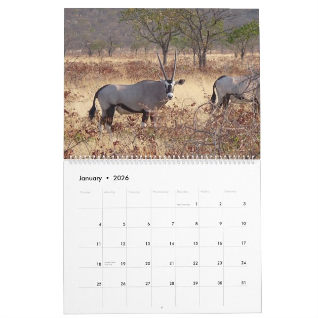 Calendrier Afrique méridionale 2009 (Jan 2026)