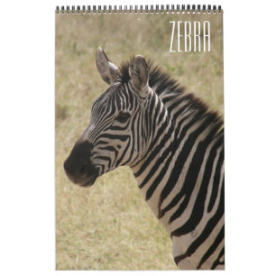 Calendrier afrique zèbre