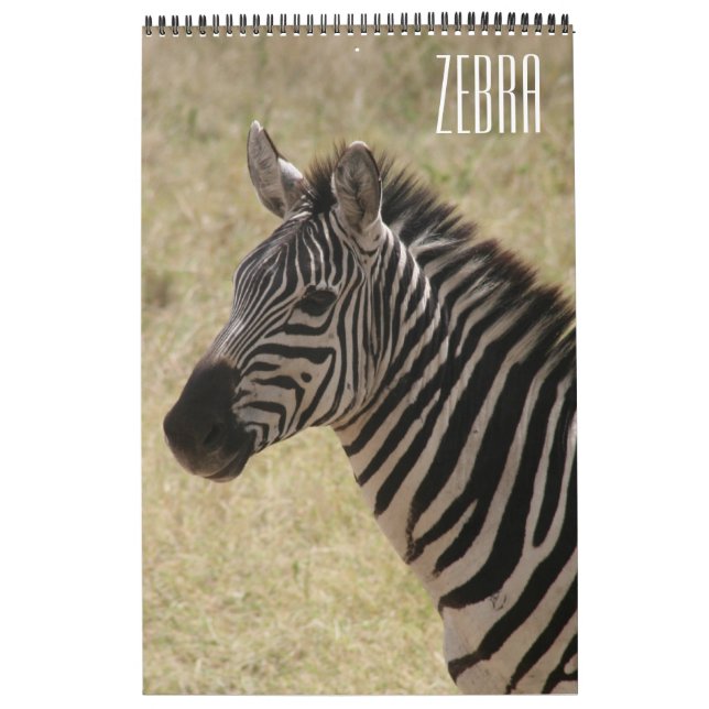 Calendrier afrique zèbre (Protection)