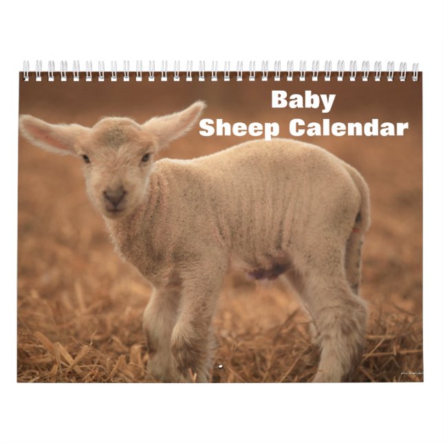 Calendrier Agneau à mouton bébé 2022 (Protection)