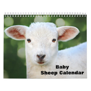 Calendrier Agneau à mouton pour bébé 2025