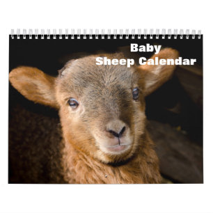 Calendrier Agneau à mouton pour bébé 2025