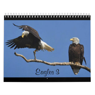 Calendrier Aigles 3