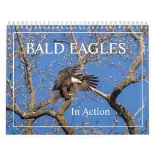 Calendrier Aigles chauds en action