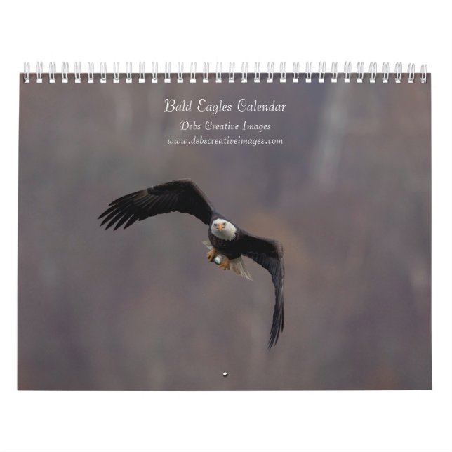 Calendrier Aigles royaux 2027 | Les rapaces majestueux d'Amér (Protection)