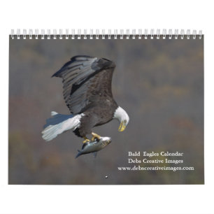 Calendrier Aigles royaux adultes 2027 Photographie de faune