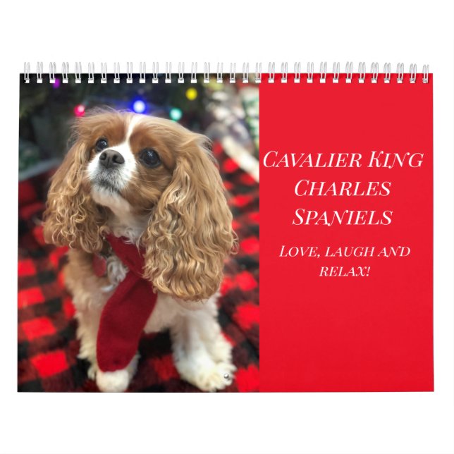 Calendrier Aimer, rire et se détendre Cavalier King Charles S (Protection)