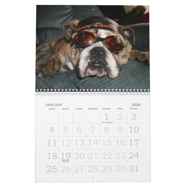 Calendrier Aimez ce bouledogue Calander (Jan 2026)