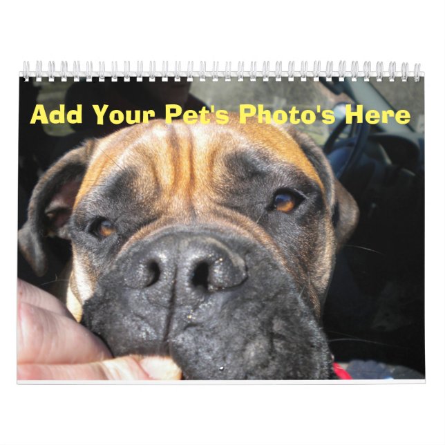 Calendrier Ajoutez les photos de votre animal de compagnie au (Protection)