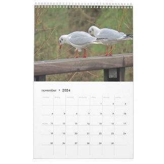 Calendrier Ajuster les oiseaux hollandais Calender