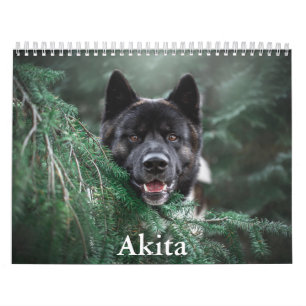 Calendrier Akita