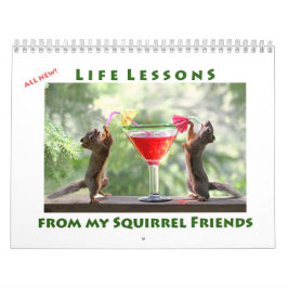 Calendrier All Star Squirrel Calendar - New Life Lessons