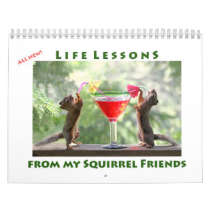 Calendrier All Star Squirrel Calendar - New Life Lessons