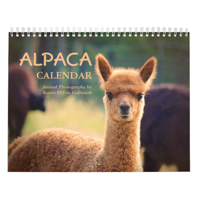 Calendrier Alpaca 2023 (Protection)