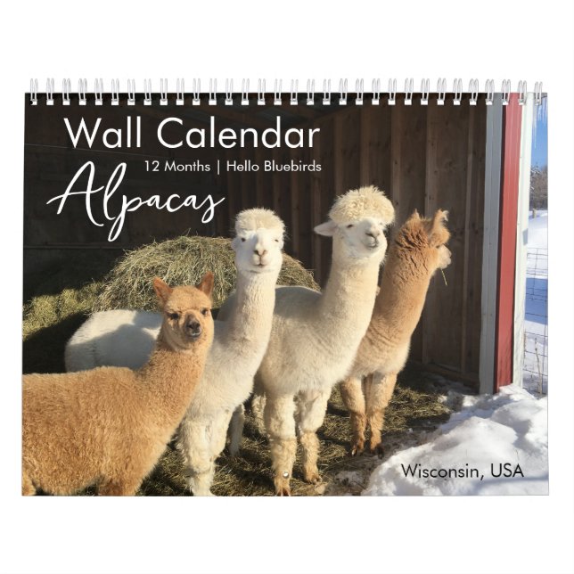 Calendrier Alpaca 2025 par Hello Bluebirds (Protection)