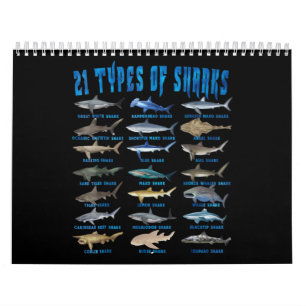Calendrier Amateurs De Requins 21 Types De Requins Animaux Oc