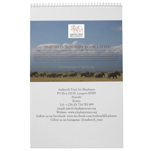 Calendrier Amboseli Trust pour le baby-boom des éléphants (Protection)