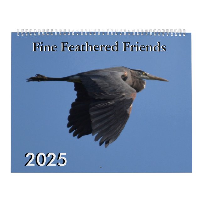 Calendrier Amis en plumes fines 2025 (Protection)