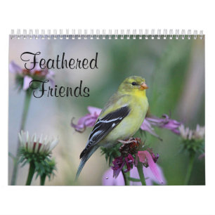 Calendrier Amis faits varier le pas - oiseaux sauvages
