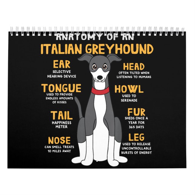 Calendrier Anatomie de l'italien Greyhound Funny Chien Maman  (Protection)