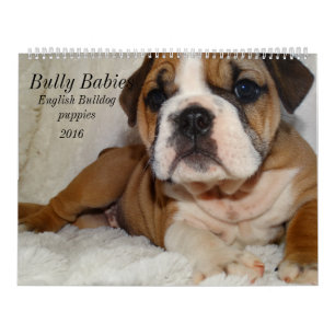 Calendrier anglais 2016 de bouledogue