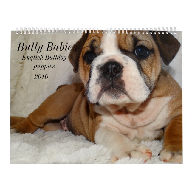 Calendrier anglais 2016 de bouledogue (Protection)
